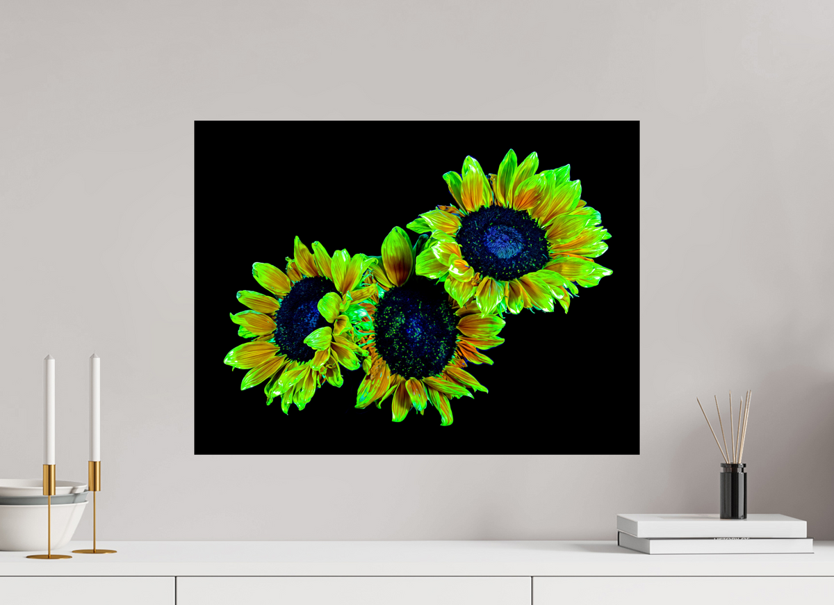 60 x 45 cm, Tirage photo contrecollé sur Dibond Les gardiens du jour endormi