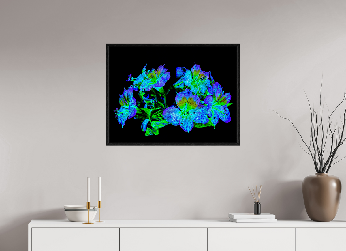 80 x 60 cm, Caisse américaine Noire Constellation Florale