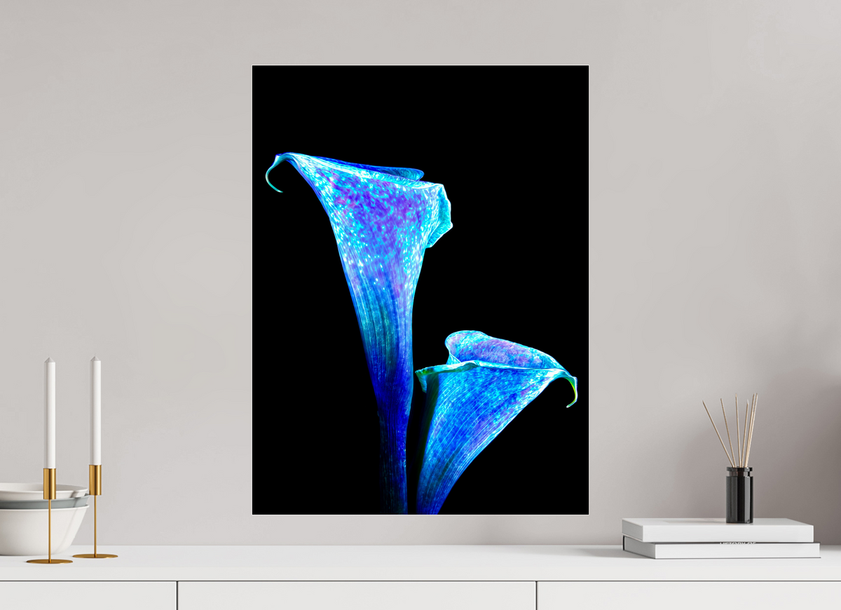 45 x 60 cm, Tirage photo sous Verre acrylique L’Étreinte des Lys Stellaires