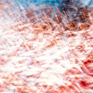 Main image La mer des plumes rouges