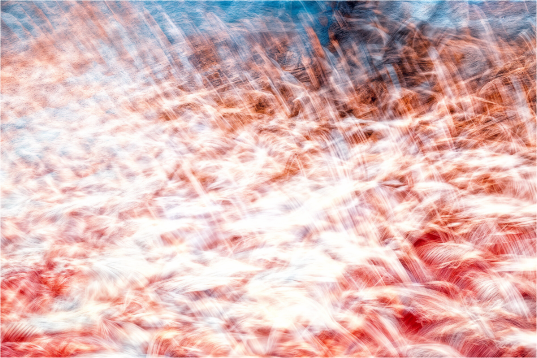 Main image La mer des plumes rouges