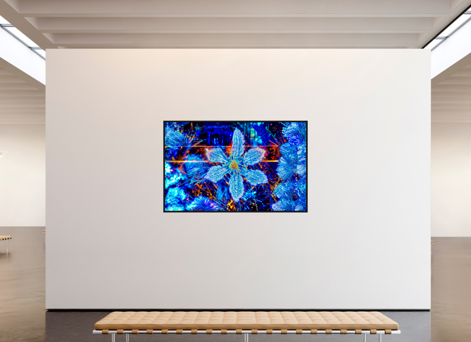 191,5 x 120 cm, 8 Caisse américaine Noire La fleur qui rêvait d’étoiles