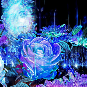 Main image La Rosée des Étoiles