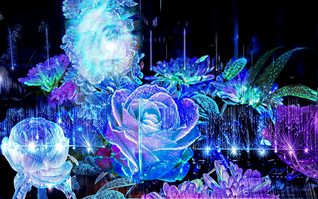Main image La Rosée des Étoiles