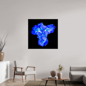 100 x 100 cm, Caisse américaine Noire Iris du Cœur Lumineux