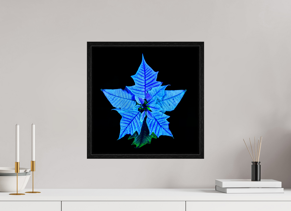 40 x 40 cm, Caisse américaine Noire La Fleur Cosmique Qui Murmure Ton Nom