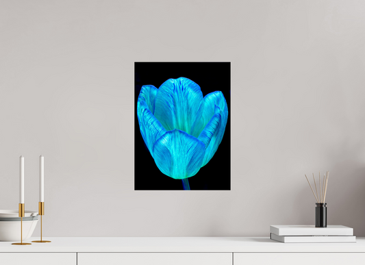 30 x 40 cm, Tirage simple sur papier photo Fuji Crystal Pearl Calice de lumière