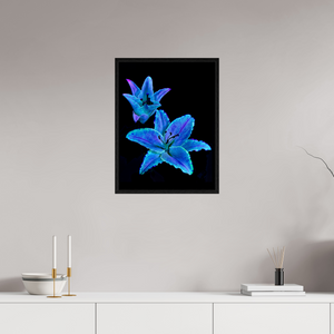 45 x 60 cm, Caisse américaine Noire Dialogue des Cœurs Stellaires