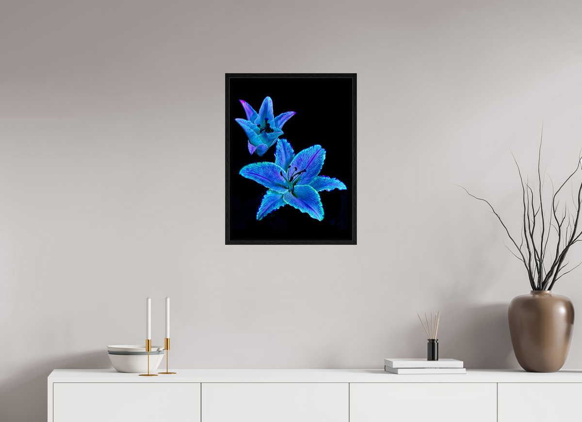 45 x 60 cm, Caisse américaine Noire Dialogue des Cœurs Stellaires