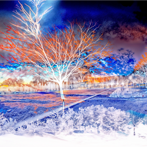 Main image L’arbre qui se souvenait de tous les ciels