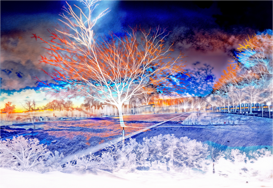 Main image L’arbre qui se souvenait de tous les ciels