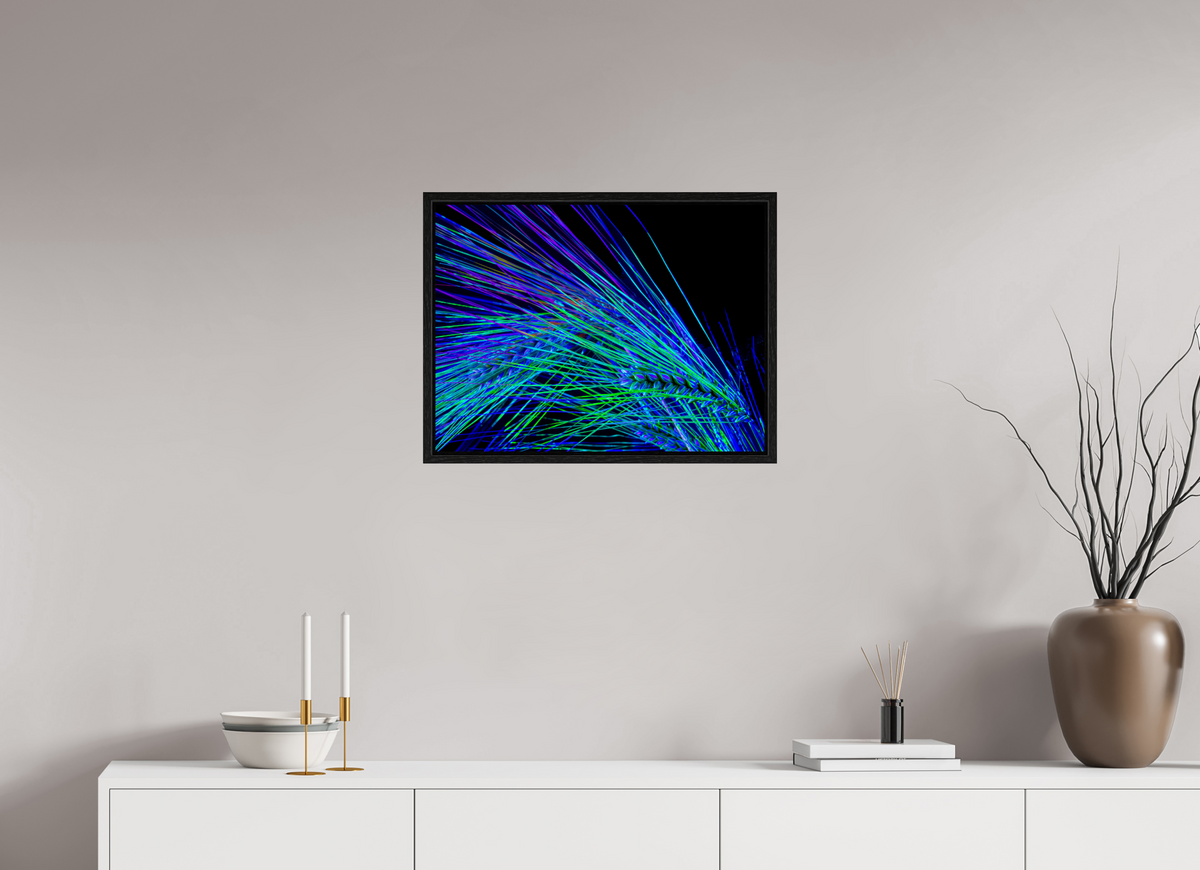 60 x 45 cm, Caisse américaine Noire Danse des Épis Électriques