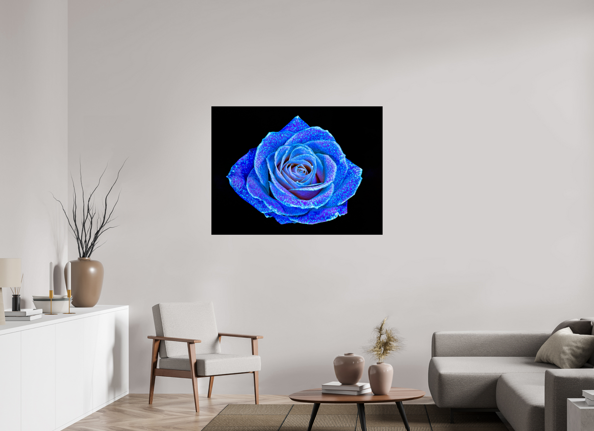 120 x 90 cm, Tirage photo contrecollé sur Dibond La Rose aux mille constellations