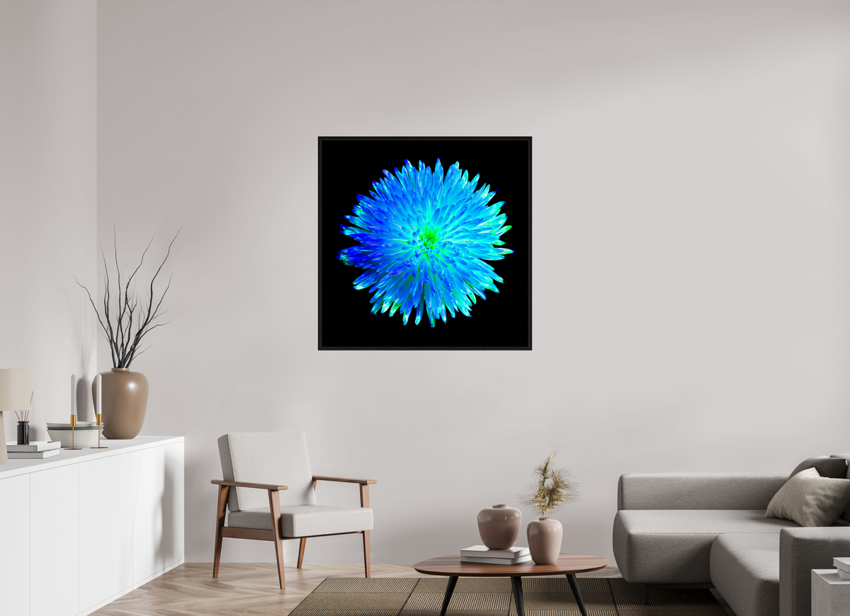 100 x 100 cm, Caisse américaine Noire L’Astre Bleu