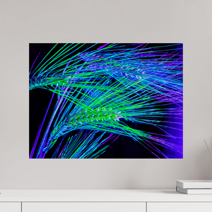 60 x 45 cm, Tirage simple sur papier photo Fuji Crystal Pearl Les Lignes où Court la Lumière
