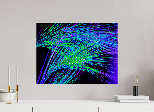 60 x 45 cm, Tirage simple sur papier photo Fuji Crystal Pearl Les Lignes où Court la Lumière