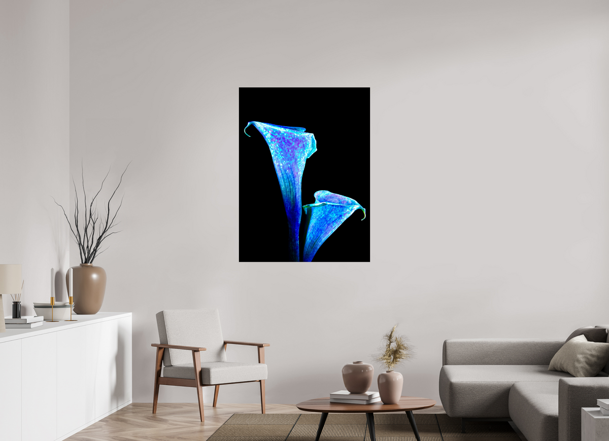 90 x 120 cm, Tirage simple sur papier photo Fuji Crystal Pearl L’Étreinte des Lys Stellaires