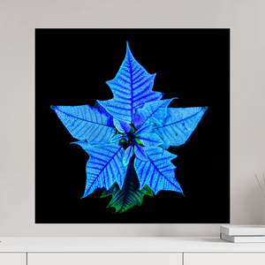 60 x 60 cm, Tirage photo sous Verre acrylique La Fleur Cosmique Qui Murmure Ton Nom