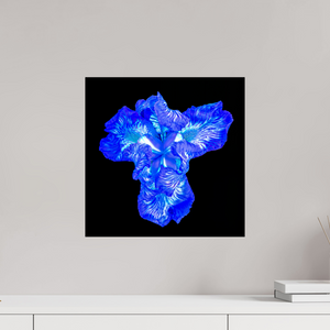 40 x 40 cm, Tirage simple sur papier photo Fuji Crystal Pearl Iris du Cœur Lumineux