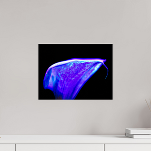 40 x 30 cm, Tirage photo contrecollé sur Dibond Une vague pourpre au bord du silence
