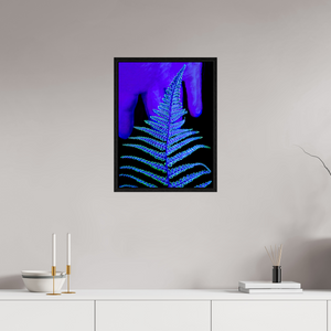 45 x 60 cm, Caisse américaine Noire Le Code Secret du Feuillage