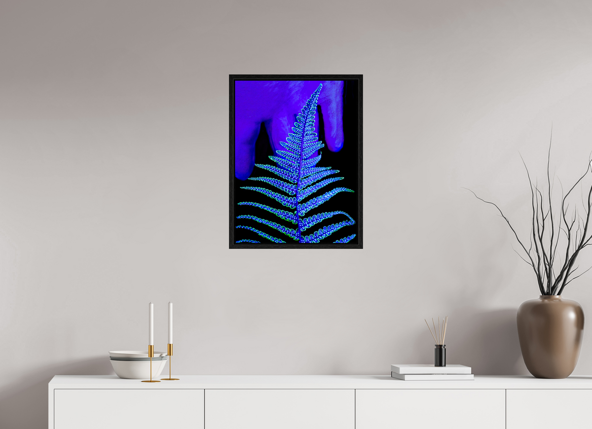 45 x 60 cm, Caisse américaine Noire Le Code Secret du Feuillage