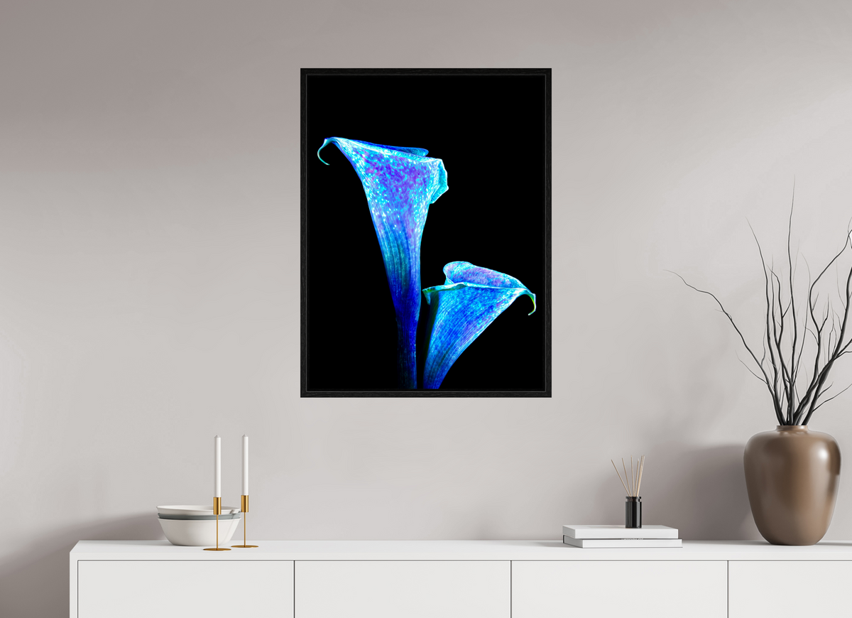 60 x 80 cm, Caisse américaine Noire L’Étreinte des Lys Stellaires