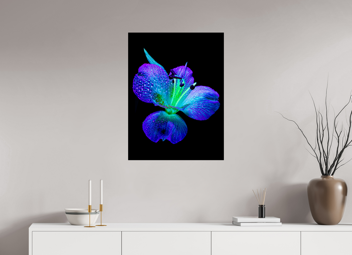 60 x 80 cm, Tirage photo sous Verre acrylique L’éclat des ailes dans la rosée
