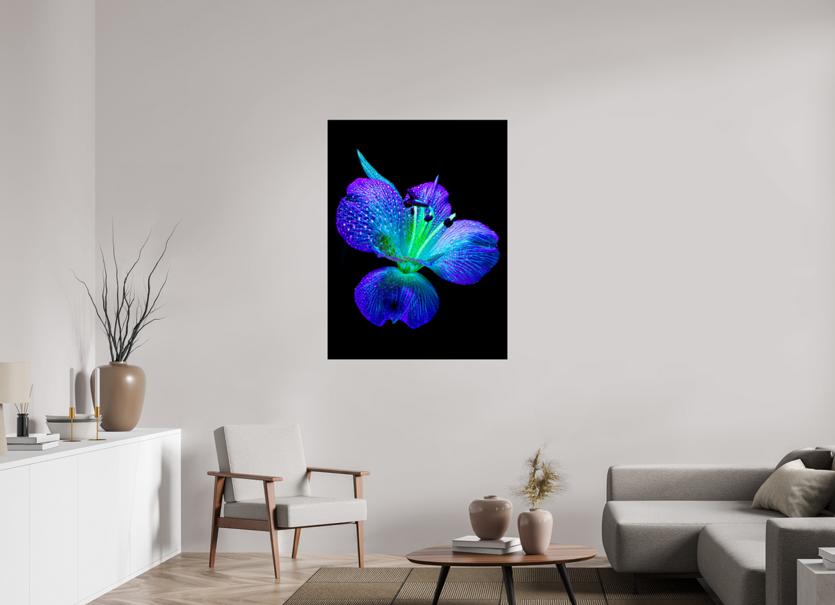90 x 120 cm, Tirage simple sur papier photo Fuji Crystal Pearl L’éclat des ailes dans la rosée