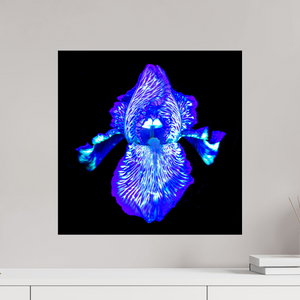 50 x 50 cm, Tirage photo contrecollé sur Dibond Iris des Profondeurs Lumineuses