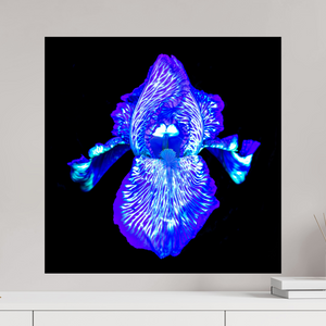 60 x 60 cm, Tirage simple sur papier photo Fuji Crystal Pearl Iris des Profondeurs Lumineuses
