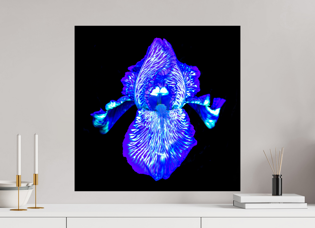 60 x 60 cm, Tirage simple sur papier photo Fuji Crystal Pearl Iris des Profondeurs Lumineuses