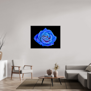 120 x 90 cm, Caisse américaine Noire La Rose aux mille constellations