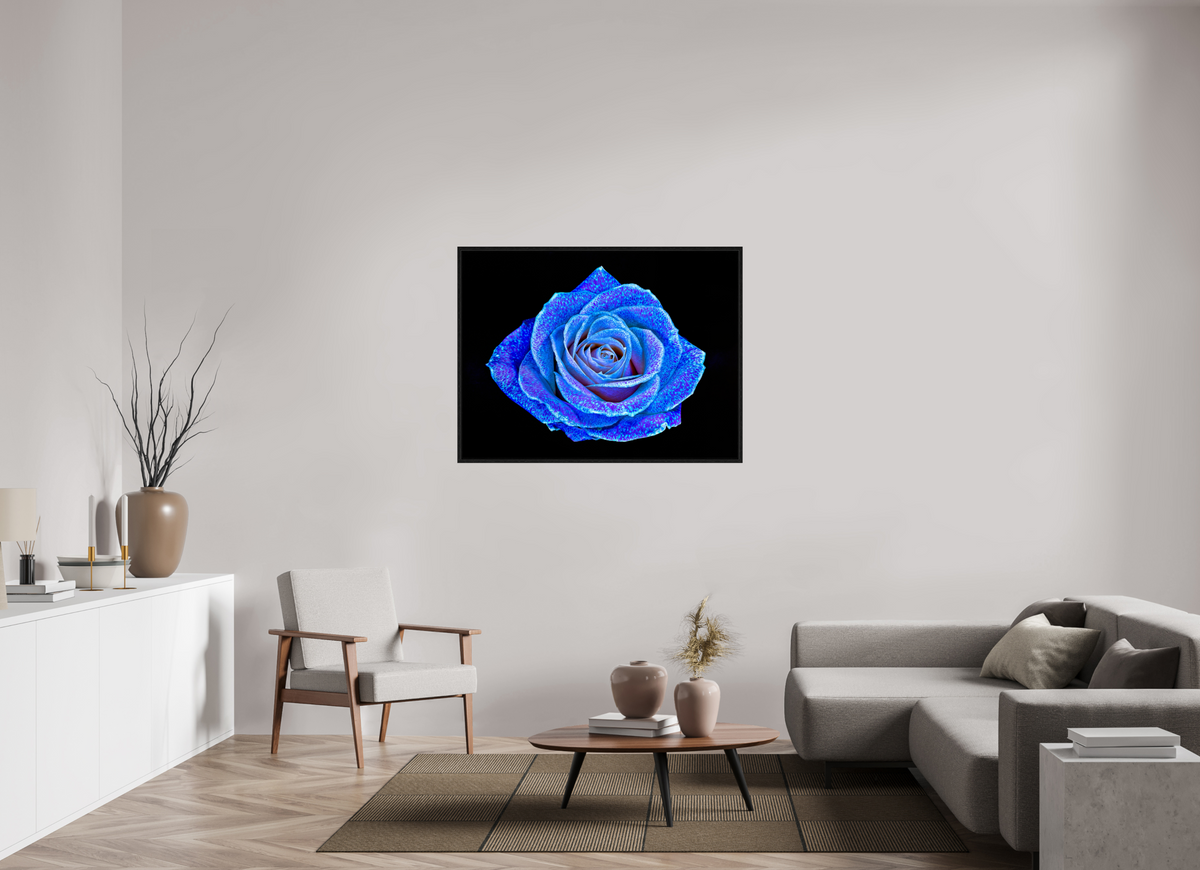 120 x 90 cm, Caisse américaine Noire La Rose aux mille constellations