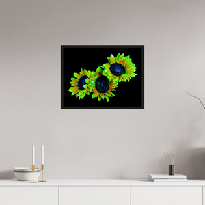 60 x 45 cm, Caisse américaine Noire Les gardiens du jour endormi