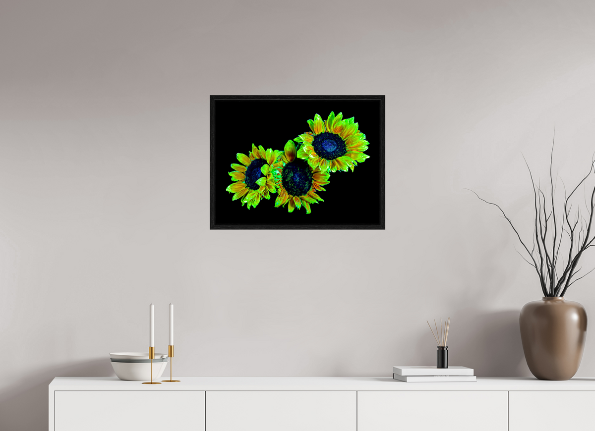 60 x 45 cm, Caisse américaine Noire Les gardiens du jour endormi