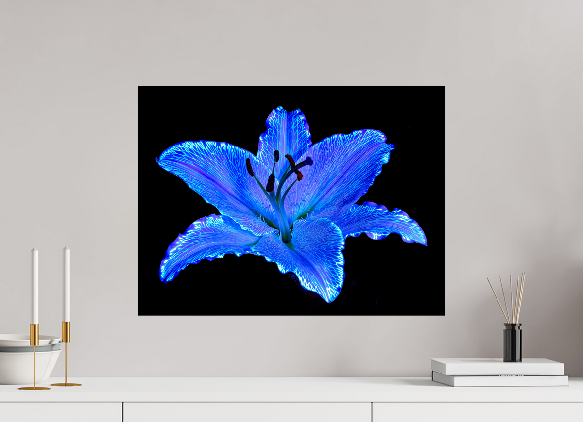 60 x 45 cm, Tirage simple sur papier photo Fuji Crystal Pearl Le Lys Astral