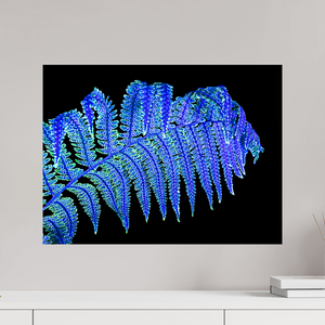 60 x 45 cm, Tirage photo contrecollé sur Dibond La Fougère qui Murmure à la Nuit