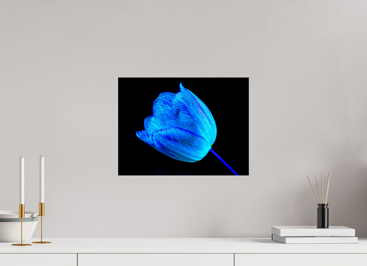 40 x 30 cm, Tirage photo contrecollé sur Dibond À l’abri de ta lumière