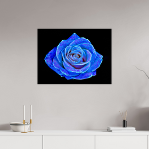 80 x 60 cm, Tirage simple sur papier photo Fuji Crystal Pearl La Rose aux mille constellations