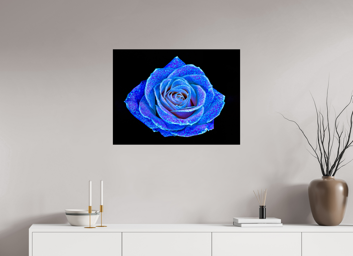 80 x 60 cm, Tirage simple sur papier photo Fuji Crystal Pearl La Rose aux mille constellations