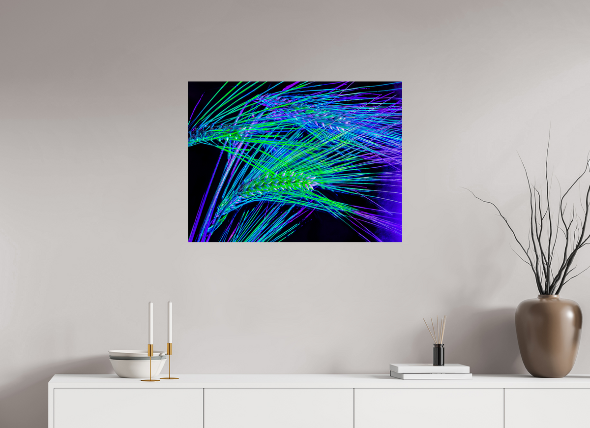 80 x 60 cm, Tirage photo contrecollé sur Dibond Les Lignes où Court la Lumière