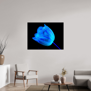 120 x 90 cm, Tirage photo sous Verre acrylique À l’abri de ta lumière
