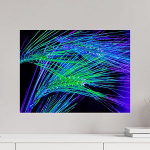 60 x 45 cm, Tirage photo sous Verre acrylique Les Lignes où Court la Lumière