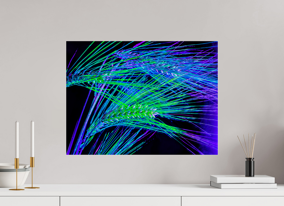 60 x 45 cm, Tirage photo sous Verre acrylique Les Lignes où Court la Lumière