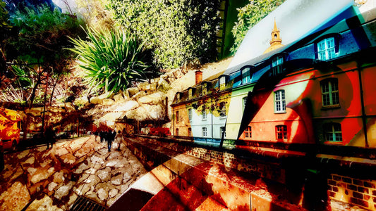 Les maisons sous l’écorce du monde