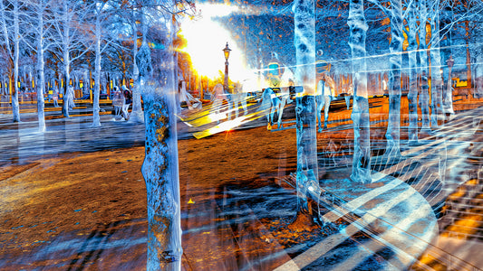 Quand les corps ont appris à se fondre dans la lumière