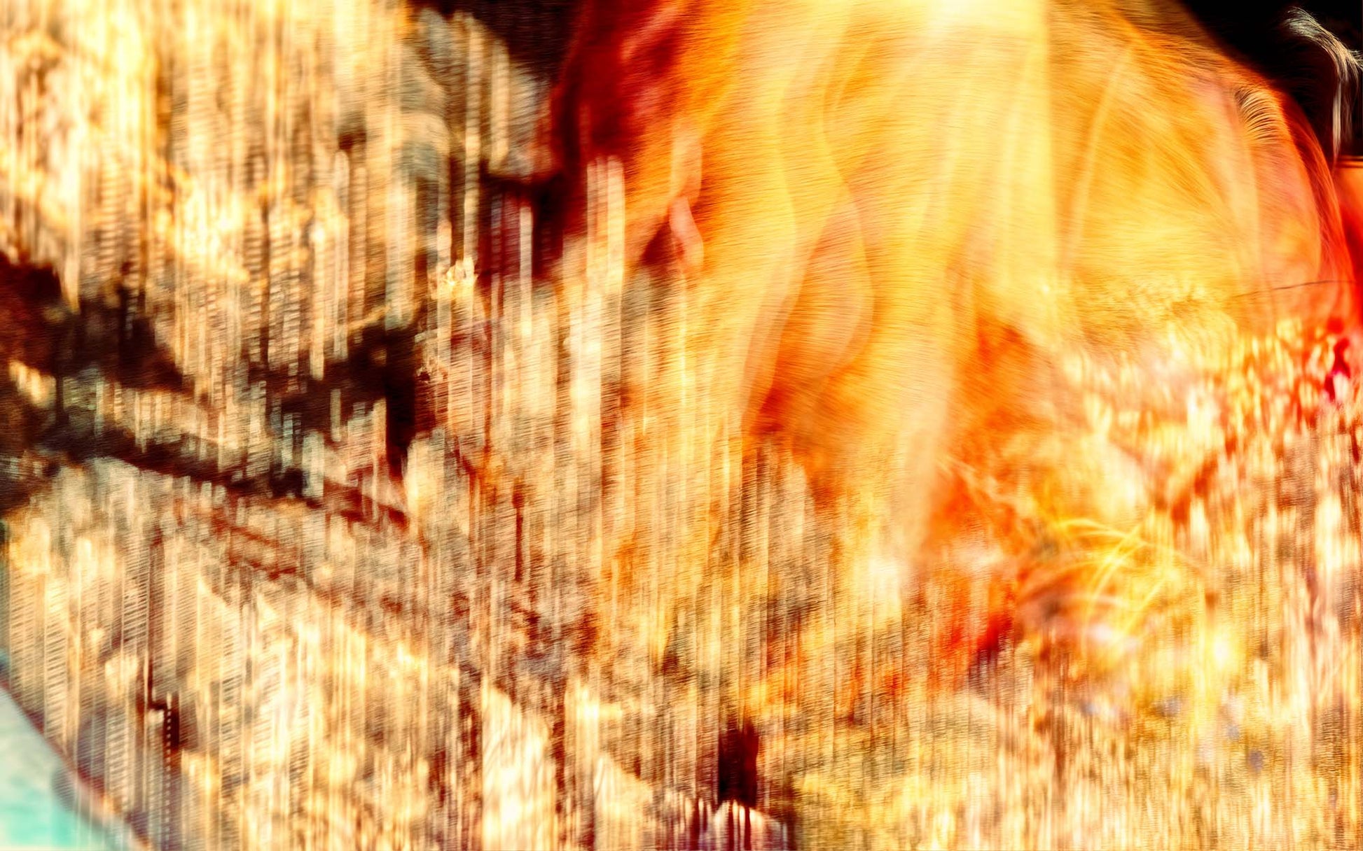 Le cœur incandescent du monde