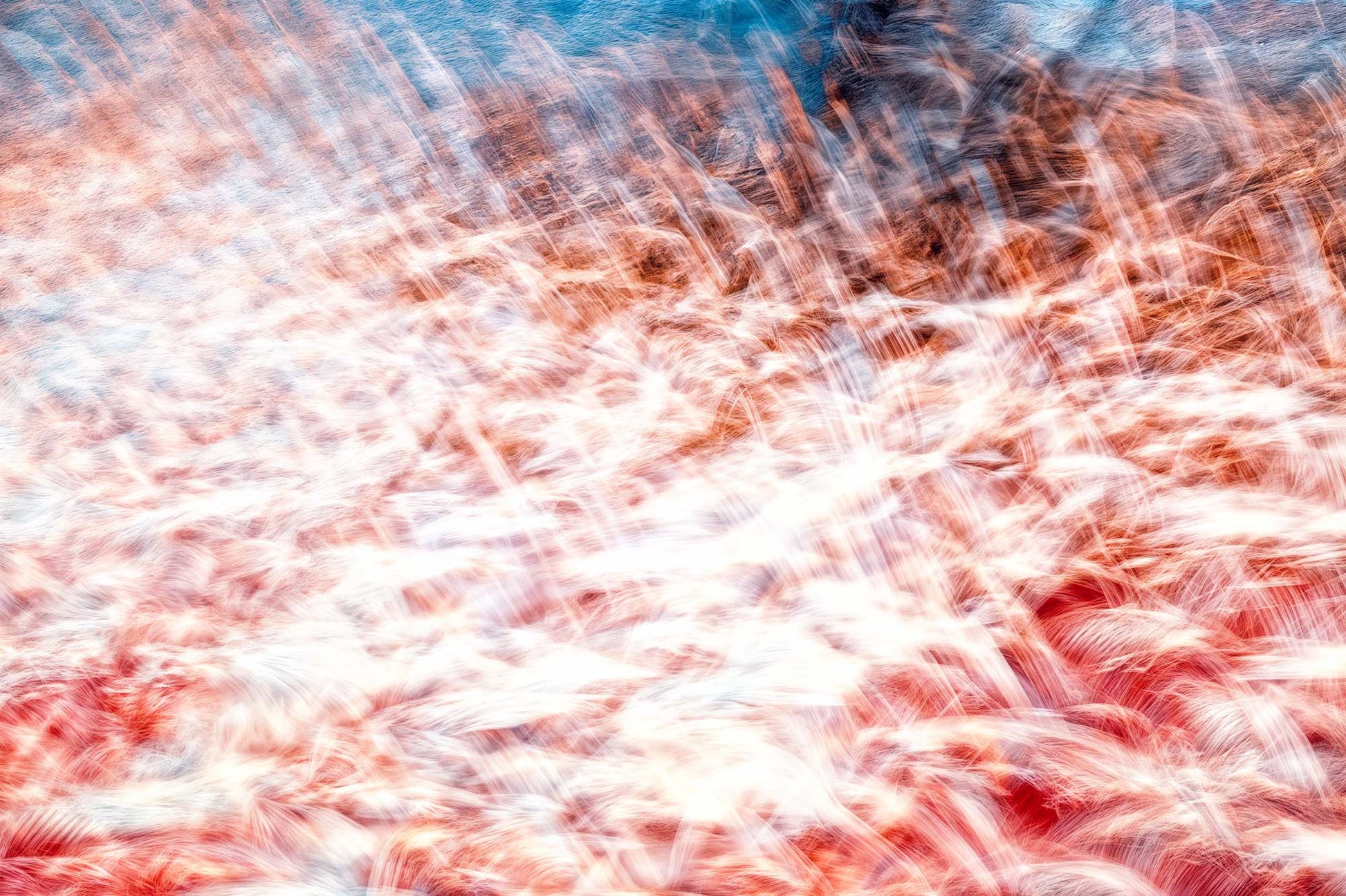 La mer des plumes rouges