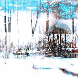 Main image La Forêt qui chante la neige
